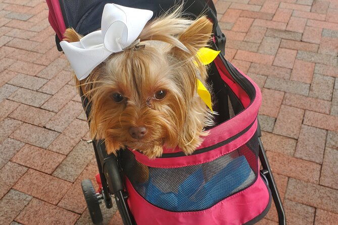 howl-o-ween-doggy-costume-party-cruise