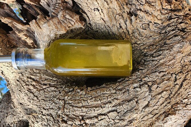 i-wil-explain-you-everything-about-our-extravirgin-olive-oil