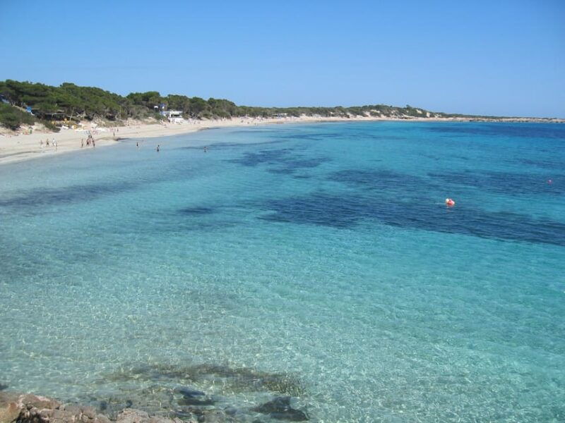 ibiza-full-day-excursion-and-visit-to-a-hippy-market