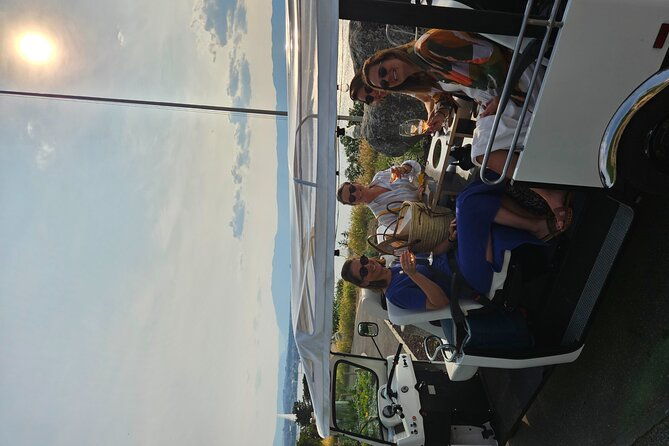immersion-in-the-geneva-vineyards-by-tuktuk-with-tasting