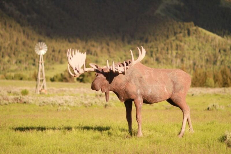 jackson-hole-moose-meadow-horseback-tour-with-breakfast