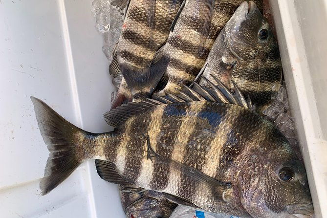 jacksonville-fishing-charter-23