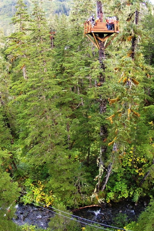 juneau-alpine-zipline-adventure