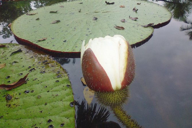 jungle-tour-3-days-2-nights