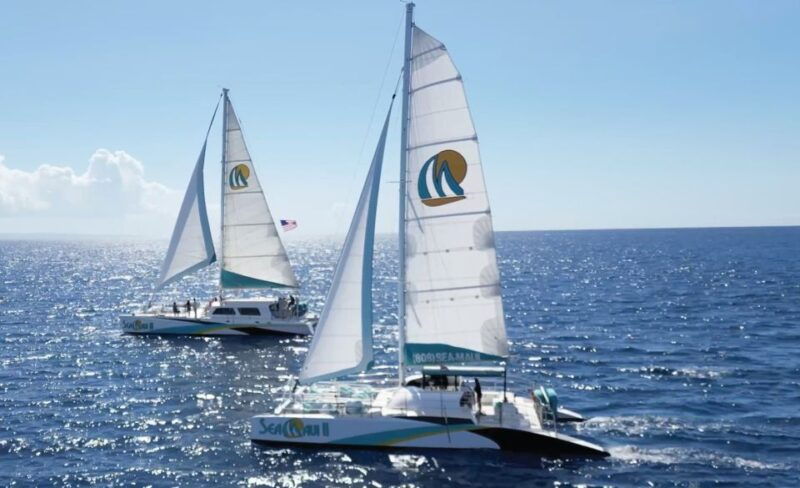 kaanapali-whale-watching-cruise-with-open-bar