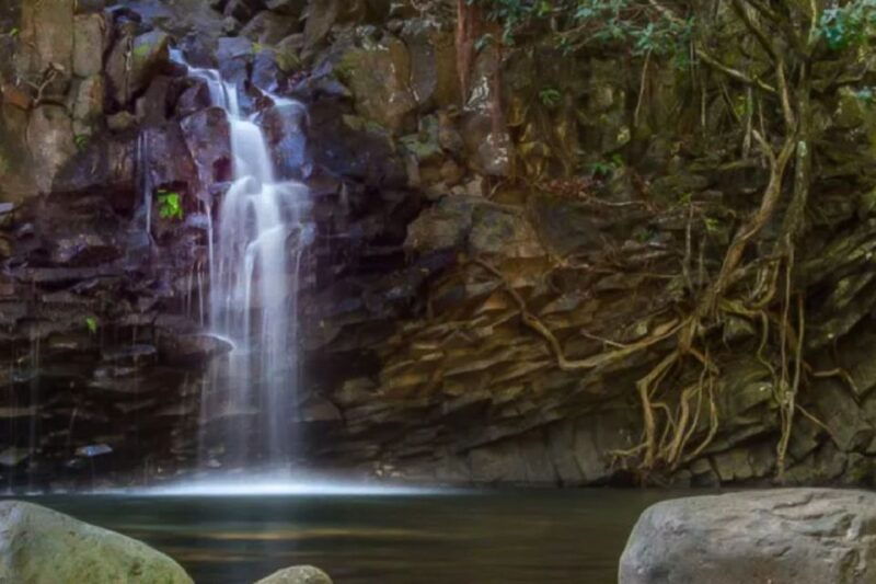 kahului-guided-rainforest-and-waterfall-walk
