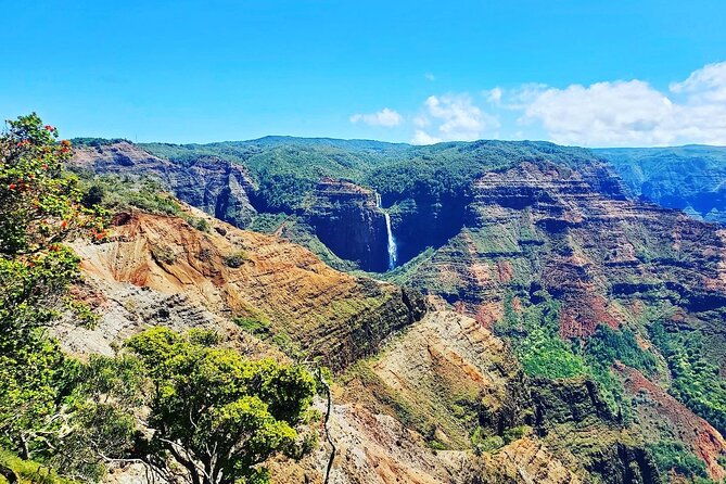 kauai-island-private-guided-tour-waimea-canyon-from-poipu-koloa