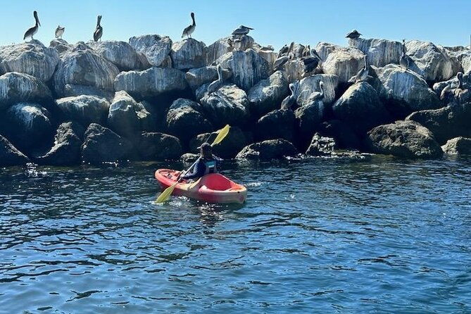 kayak-rental-in-redondo-beach-usa