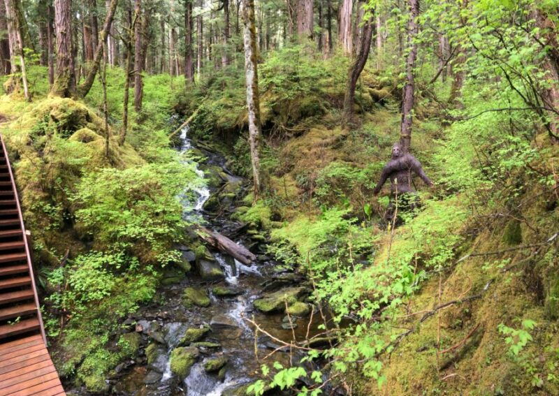 ketchikan-tongass-forest-alaska-bigfoot-atv-ride-and-hike