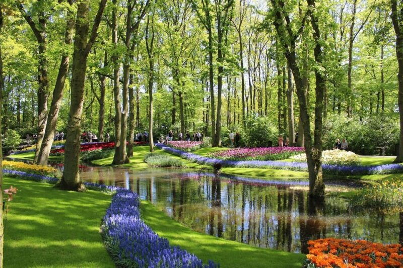 keukenhof-tulip-royalty-tour-with-exclusive-private-driver