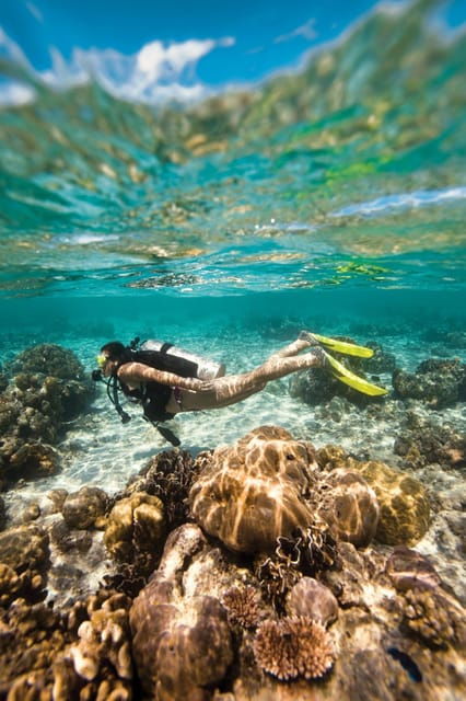 key-largo-discover-scuba-diving-experience