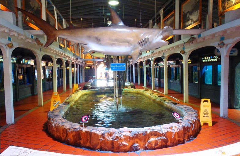 key-west-aquarium-tickets