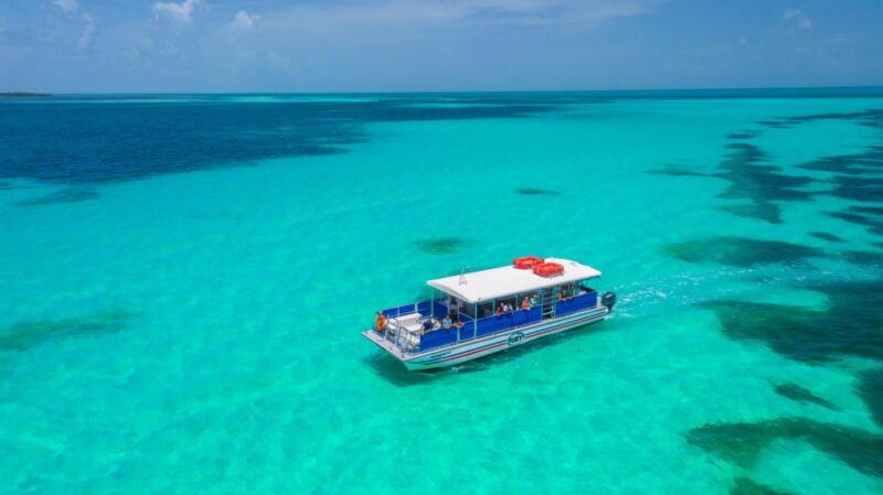 key-west-dolphin-watching-and-snorkeling-eco-cruise-tour