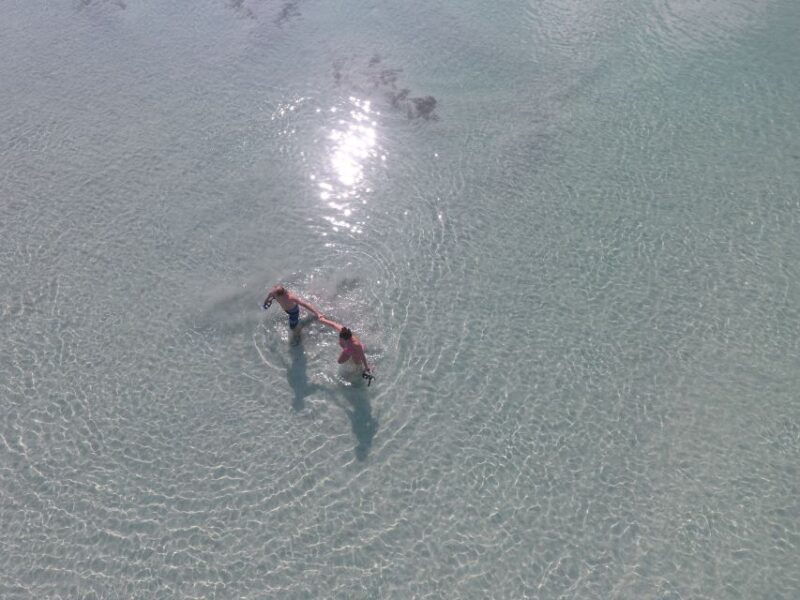 key-west-eco-safari-sandbar-tour-with-snorkeling
