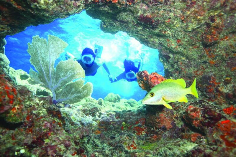 key-west-reef-snorkeling-with-drinks-and-sunset-option
