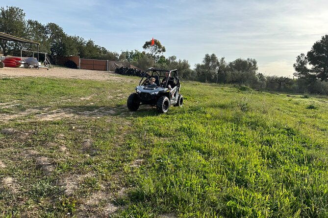 kids-buggy-experience-in-salou
