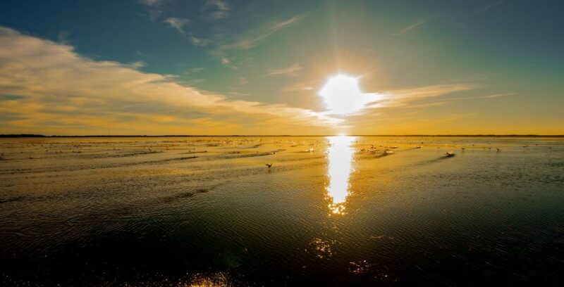 kissimmee-boggy-creek-sunset-airboat-tour