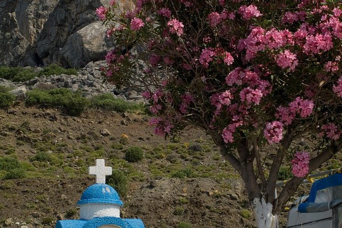 kos-island-independent-day-trip-from-bodrum