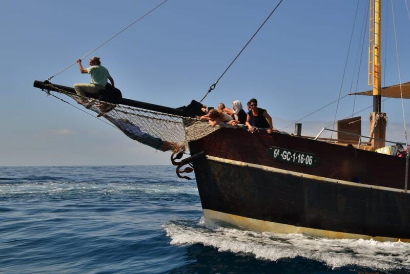 la-palma-bussard-premium-tour-marine-biology-nature