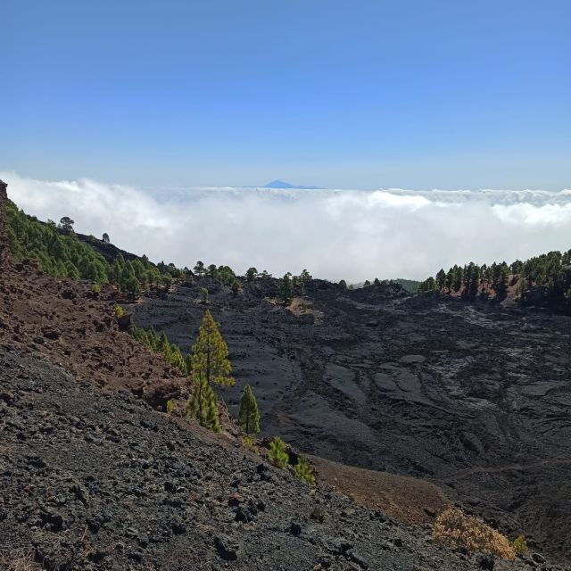 la-palma-guided-trekking-tour-to-volcanoes-south