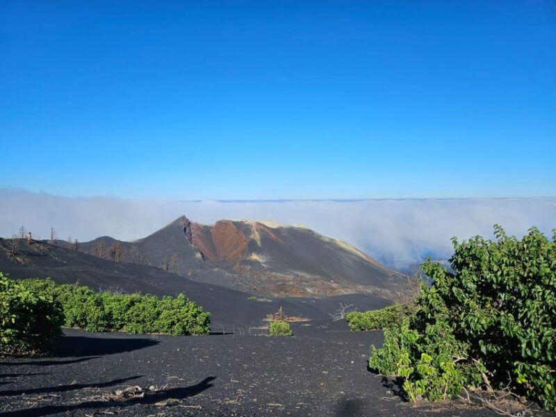 la-palma-tour-to-the-new-tajogaite-volcano-360o