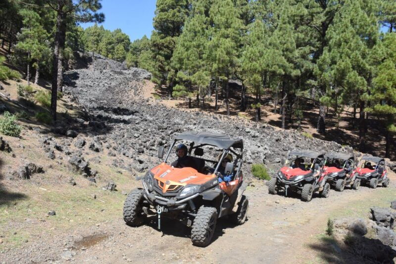 la-palma-volcano-route-buggy-tour