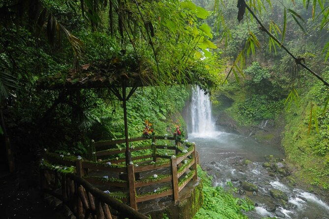 la-paz-waterfall-gardens-and-tabacon-hot-springs-private-day-tour-from-san-jose