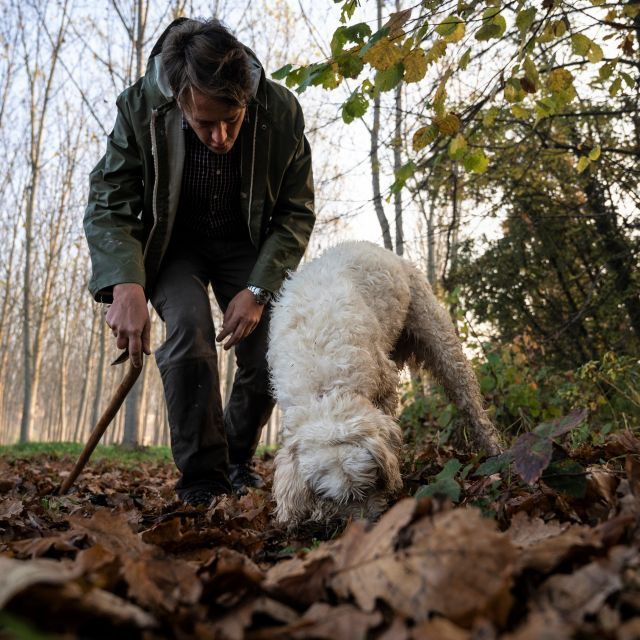 langhe-truffle-hunting-tour