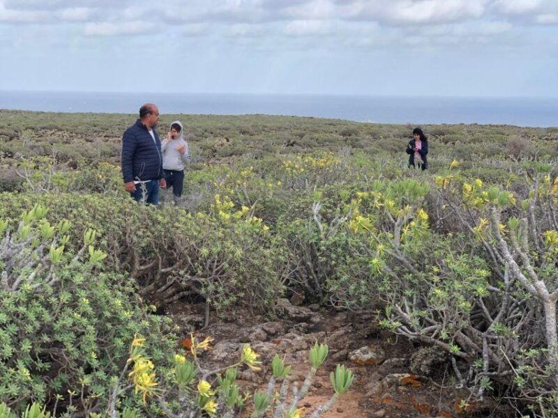 lanzarote-a-different-perspective-guided-driving-tour