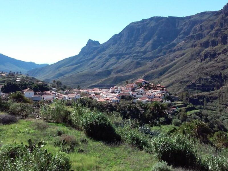 las-palmas-8-hour-gran-canaria-island-highlights-tour
