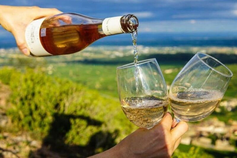 lisbon-setubal-arrabida-and-azeitao-private-wine-tour
