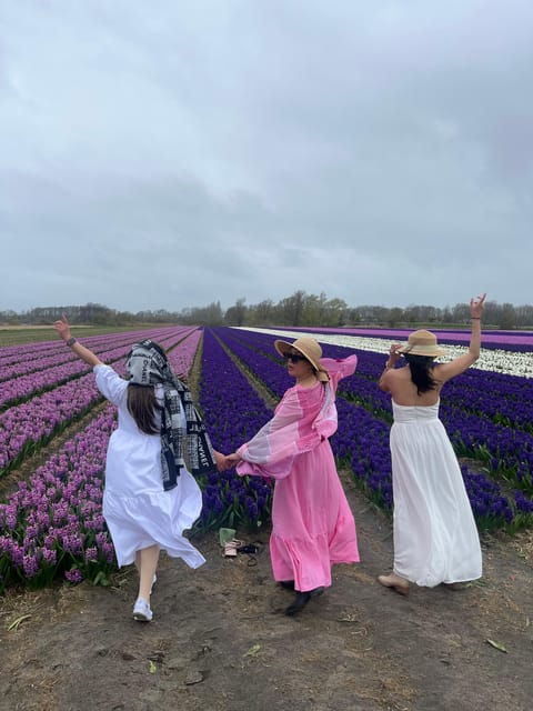lisse-private-tulip-fields-tour-with-a-local-guide