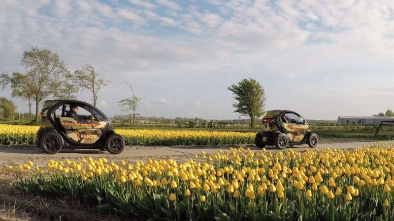 lisse-self-guided-tulip-fields-gps-audio-tour