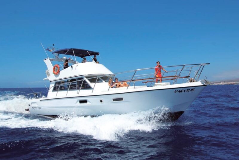 los-cristianos-whale-watching-tour-and-swimming-in-the-sea-on-a-yacht-for-22-persons