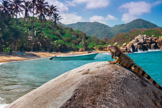 lost-city-trek-ciudad-perdida-tour-from-santa-marta-taganga
