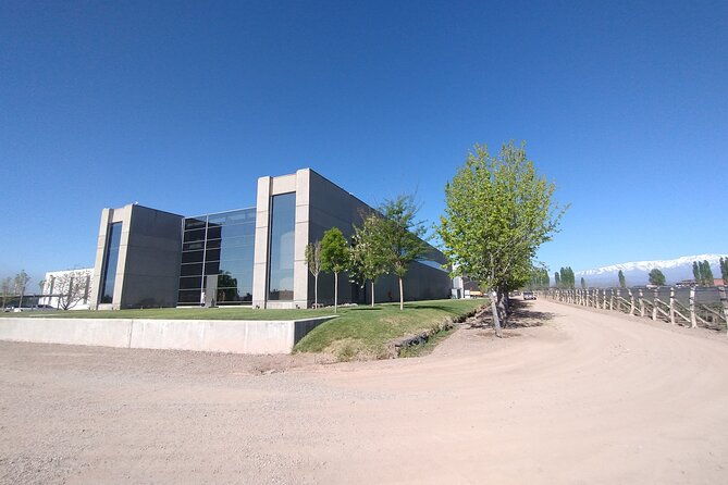 lujan-de-cuyo-maipu-wineries-full-day-transfer