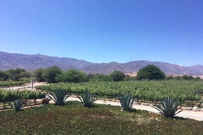 luxury-colome-wine-tour