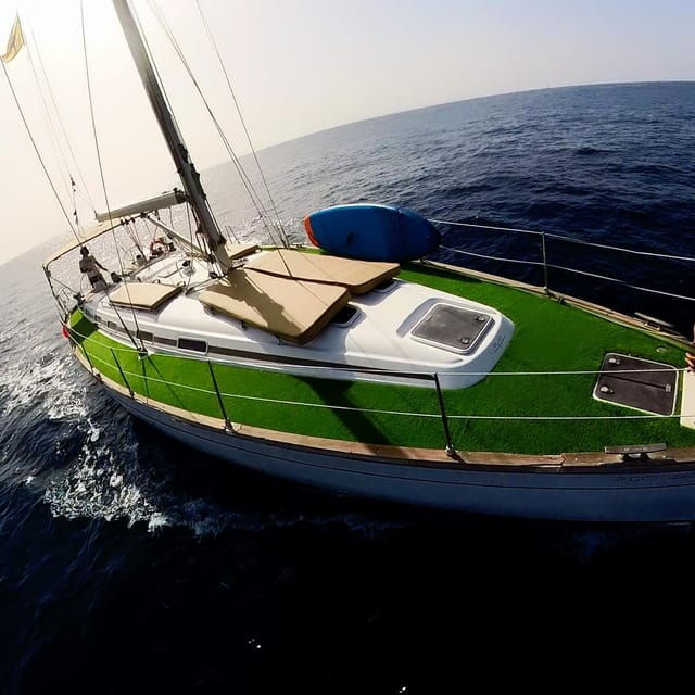 luxury-dolphin-boat-excursions-from-puerto-colon-tenerife