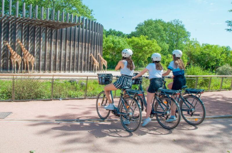 lyon-discovery-of-the-tete-dor-park-by-ebike