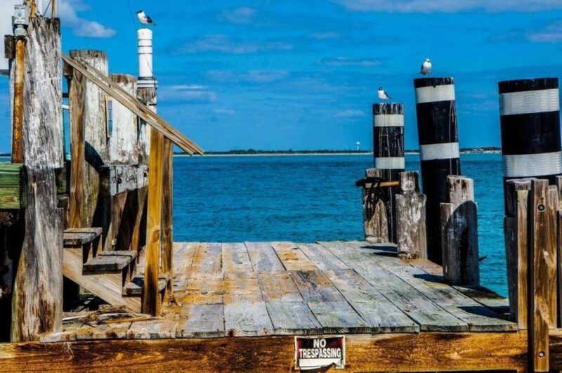 madeira-beach-egmont-key-snorkeling-and-dolphin-cruise