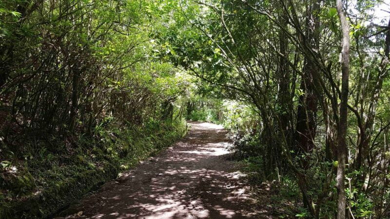 madeira-private-guided-levada-caldeirao-verde-walk-pr9