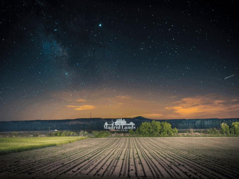 madrid-luxury-winner-and-ribera-del-duero-tour