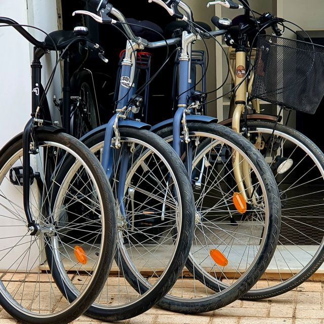 malaga-private-bike-rental