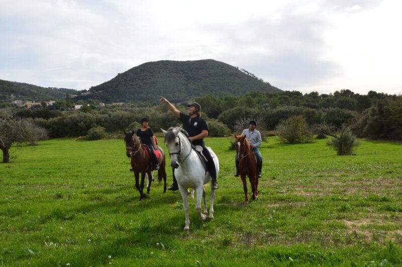 mallorca-activity-antique-mallorca-with-picnic