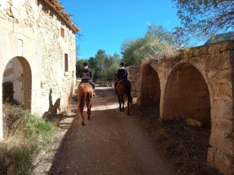 mallorca-activity-with-horses-antique-mallorca