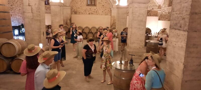 mallorca-bodega-olives-minibus-tour-with-tastings-german