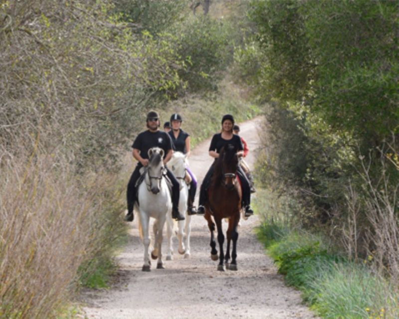 mallorca-guided-horseriding-tour-of-randa-valley
