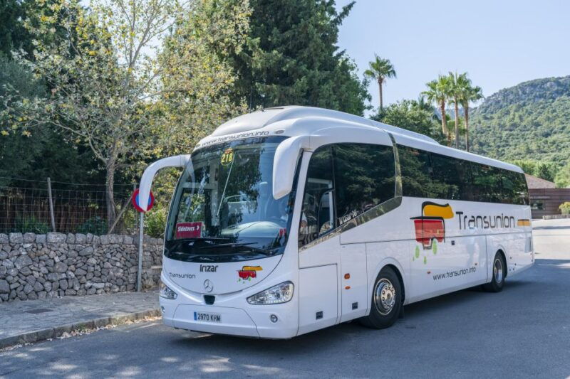mallorca-island-tour-with-boat-tram-train-from-the-south