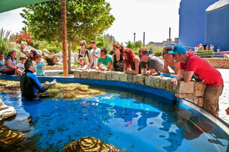 mallorca-palma-aquarium-entry-ticket-w-optional-3d-cinema