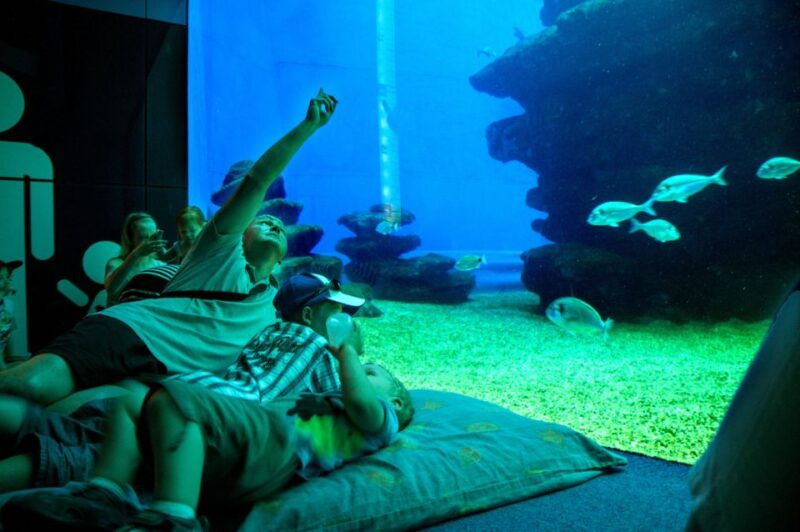 mallorca-palma-aquarium-tickets-with-transfer